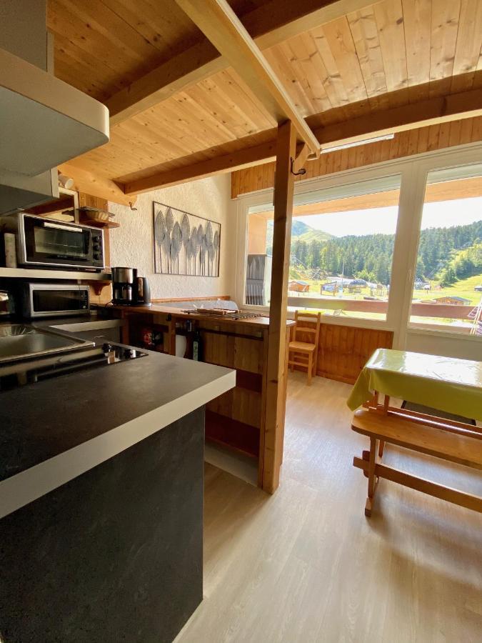 Super Lioran - Appartement Entierement Equipe Laveissière エクステリア 写真